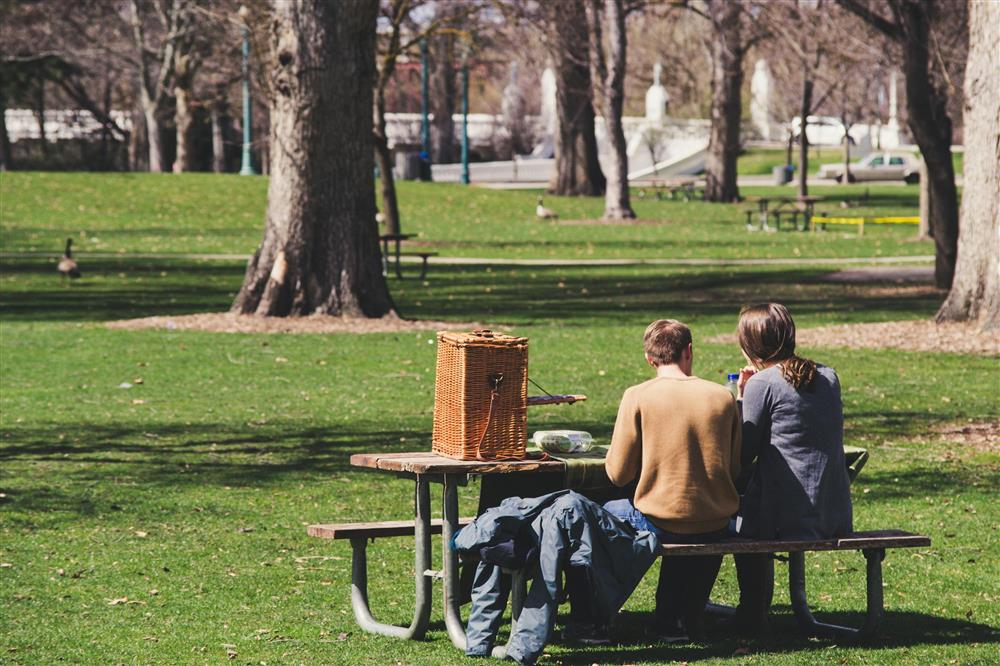 Picnic Furniture: Your Source for Quality Commercial Picnic Tables - The Ultimate Guide To Picnic Tables 